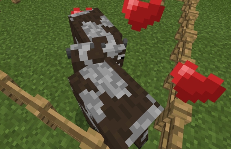 【マイクラ】牛の特徴や増やし方などを解説！革をたくさん集めよう ｜ ひきこもろん