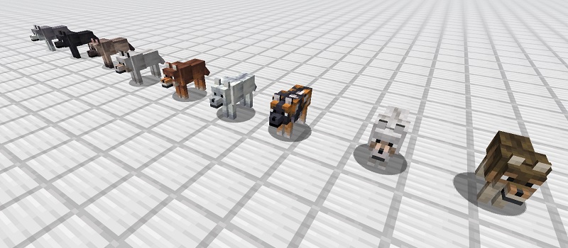 各種オオカミの見た目