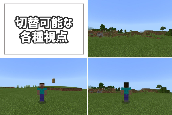 マイクラ　視点