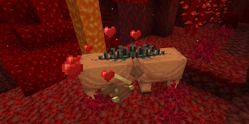 ホグリンに真紅のキノコを与えて子どもが生まれる