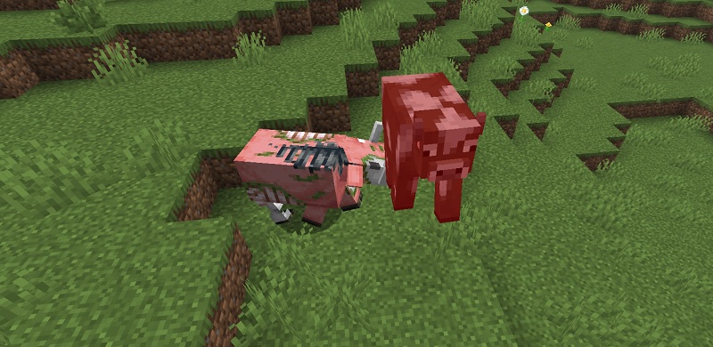 ゾグリンに攻撃される牛