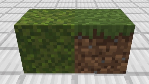 マイクラ　苔ブロックと草ブロックの比較