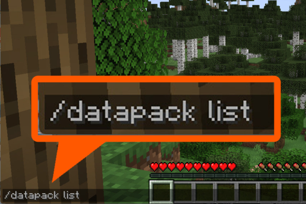 マイクラ　データパック確認コマンド「datapack list」