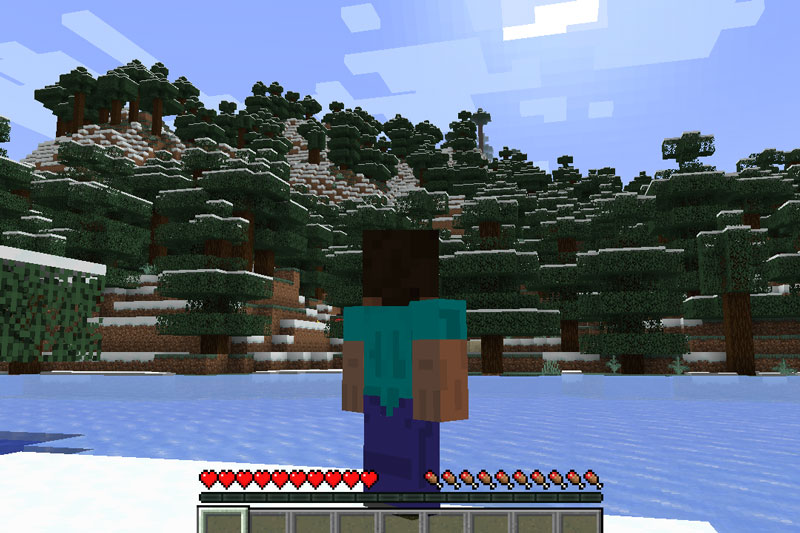 『シンVPS』で作成したマイクラサーバーのワールド