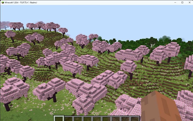 Java版Realmsのワールド、こんな感じです。