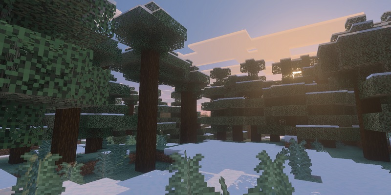 マイクラ　Vibrant Visualsの景色4