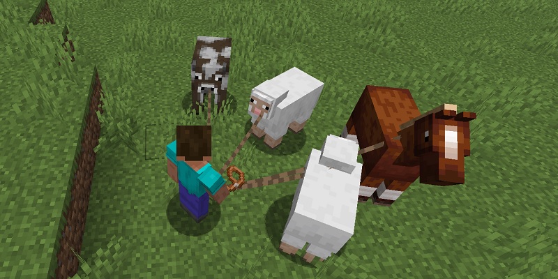 マイクラ　リードでmobを引っ張る
