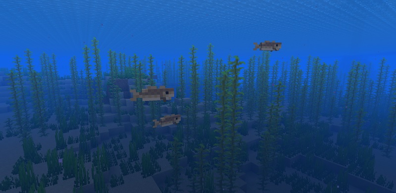 マイクラ　海を泳ぐタラ