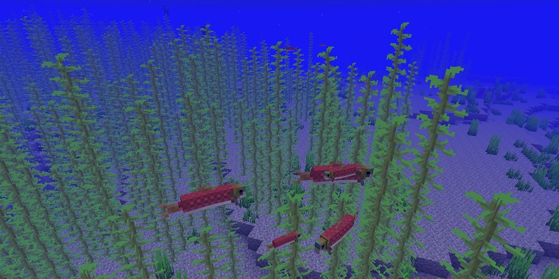 マイクラ　冷たい海のサケ