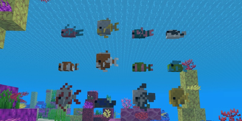 マイクラ　様々な種類の熱帯魚