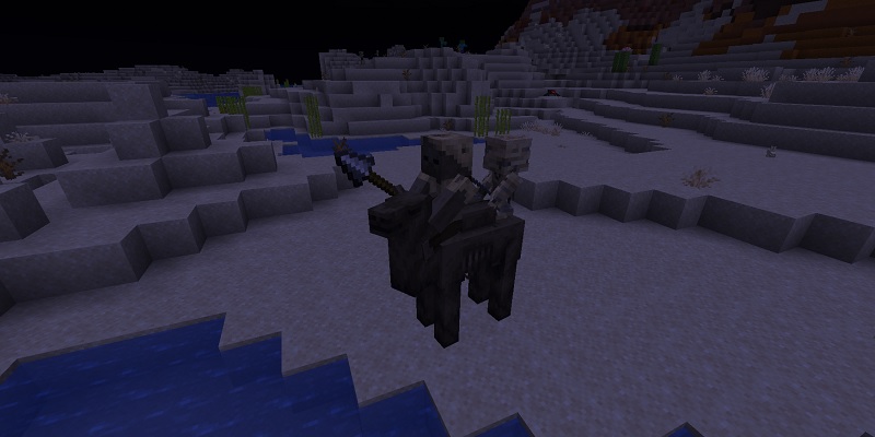 夜の砂漠にスポーンしたラクダハスク