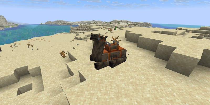 ラクダハスクに鞍を装備する