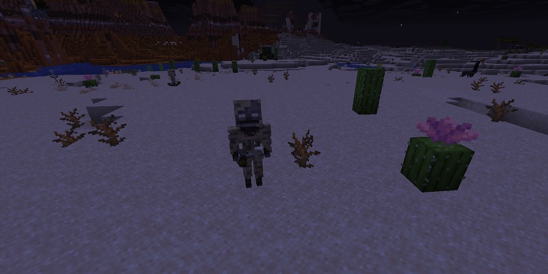 夜の砂漠にスポーンしたパーチド