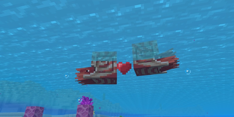 オウムガイの繁殖