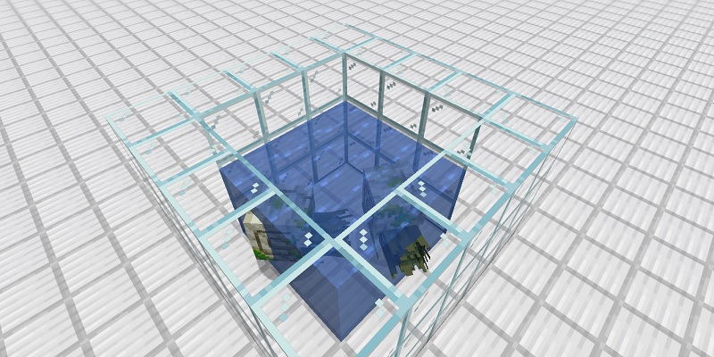 ゾンビオウムガイの水槽