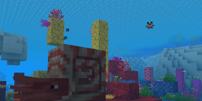 フグを狙うオウムガイ