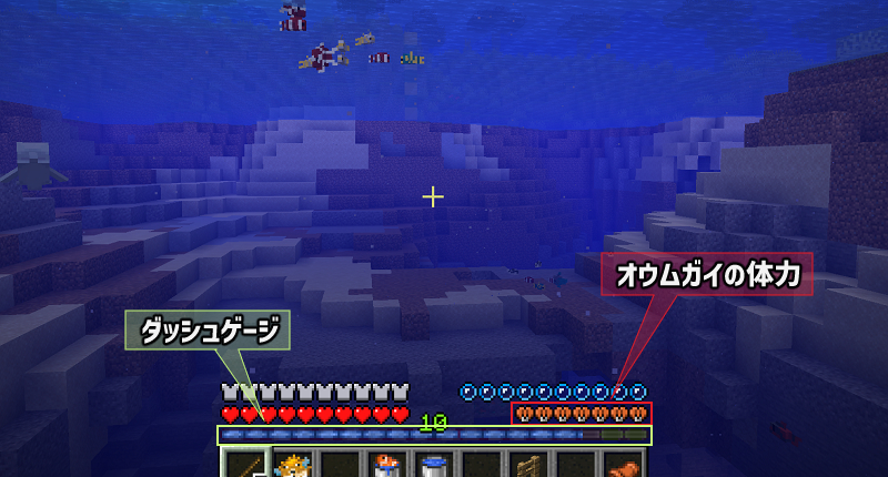 オウムガイに乗っているときの画面