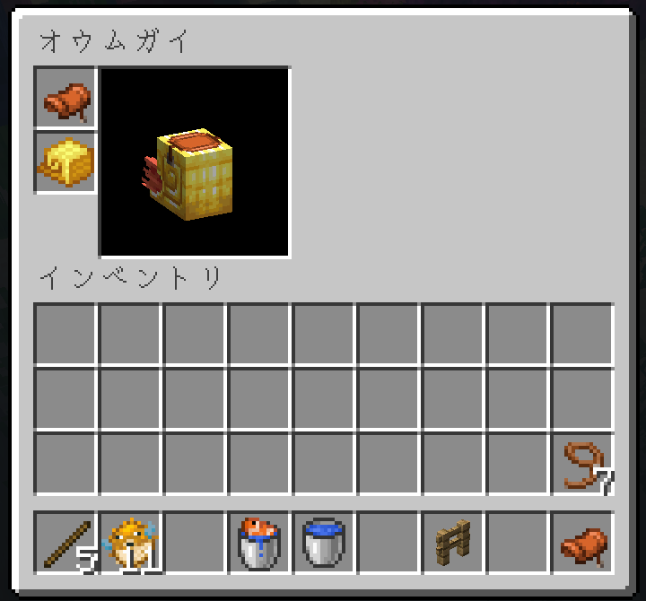 オウムガイに鎧を装備する