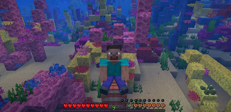 オウムガイに乗ったプレイヤー