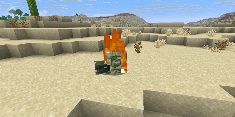 陸に上がったゾンビオウムガイ