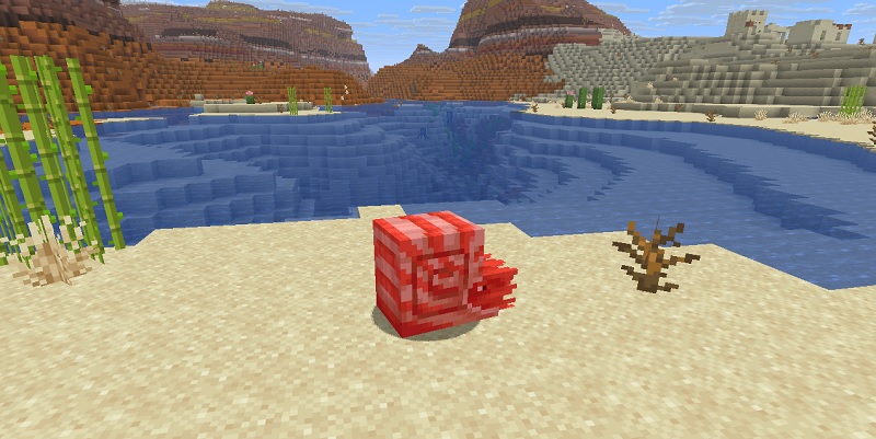 地上で窒息ダメージを受けるオウムガイ