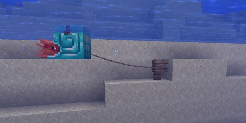 リードで繋がれたオウムガイ