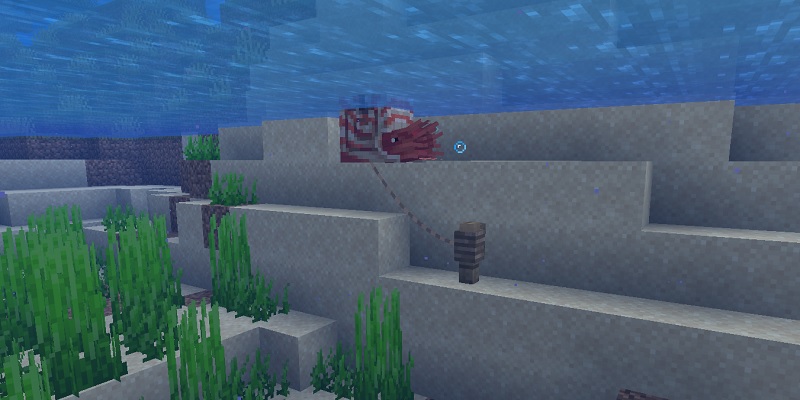 オウムガイの簡易待機所