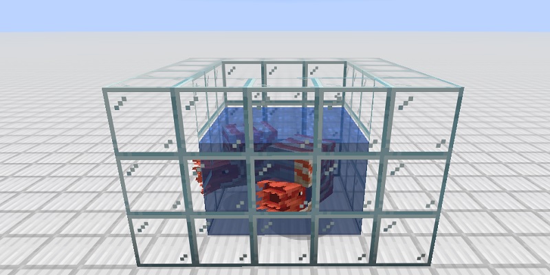 オウムガイの水槽