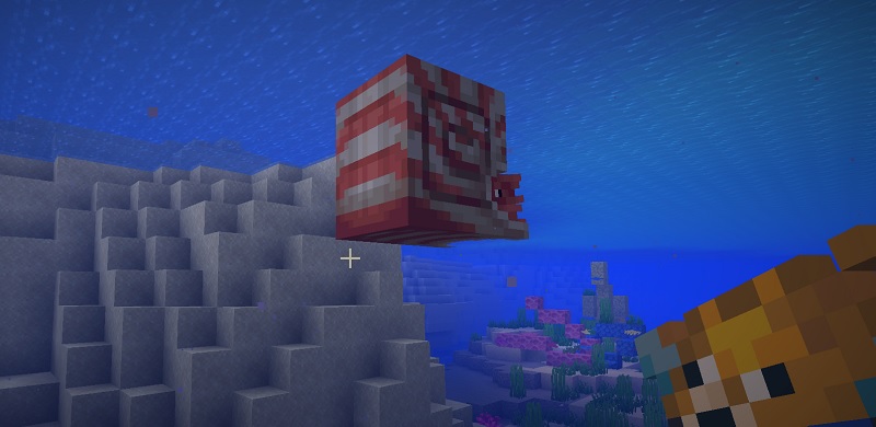 オウムガイにフグを与えて手懐ける