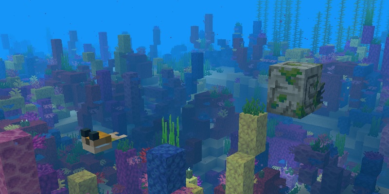 フグを狙うゾンビオウムガイ