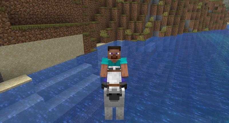 川を泳いで渡る馬