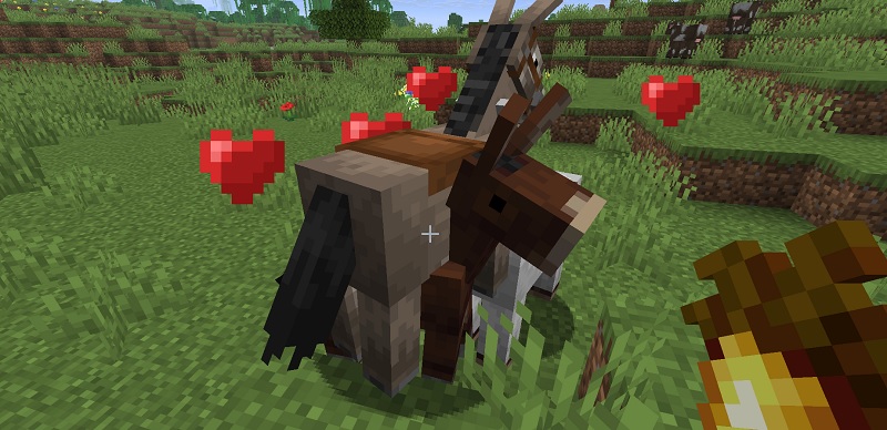 ウマとロバの交配でラバが生まれる