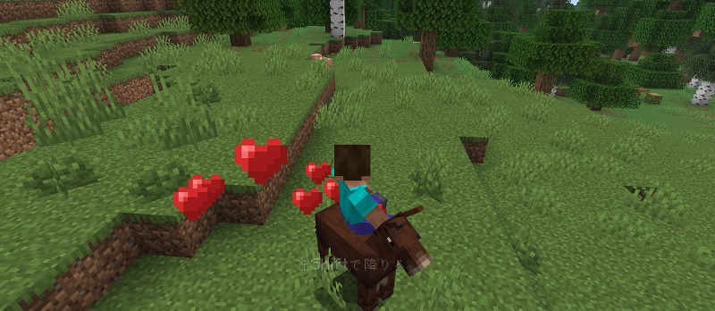 ラバを手懐ける