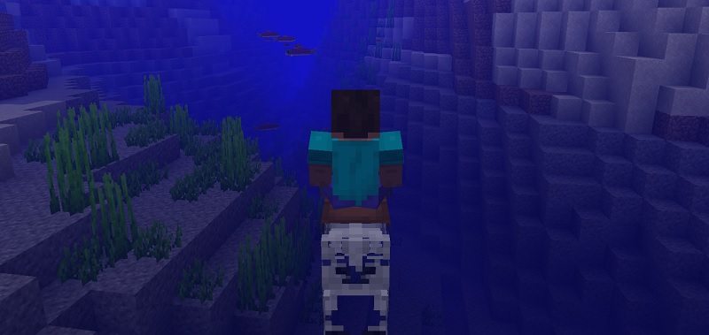 水中を進むスケルトンホース