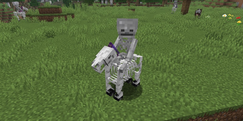 スケルトンホースに騎乗したスケルトン