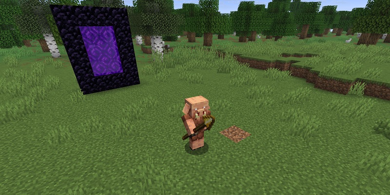 地上に来たゾンビピグリンに変化する前のピグリン