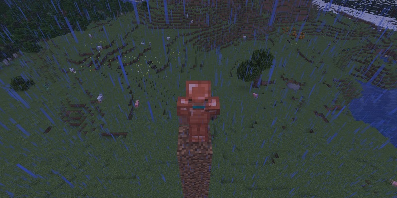 スケルトンホースのスポーン待ち