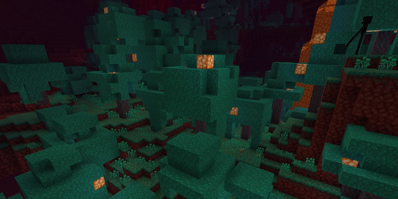 歪んだ森バイオーム