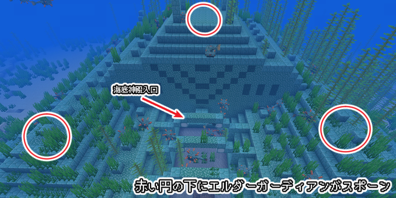 エルダーガーディアンのスポーンする場所